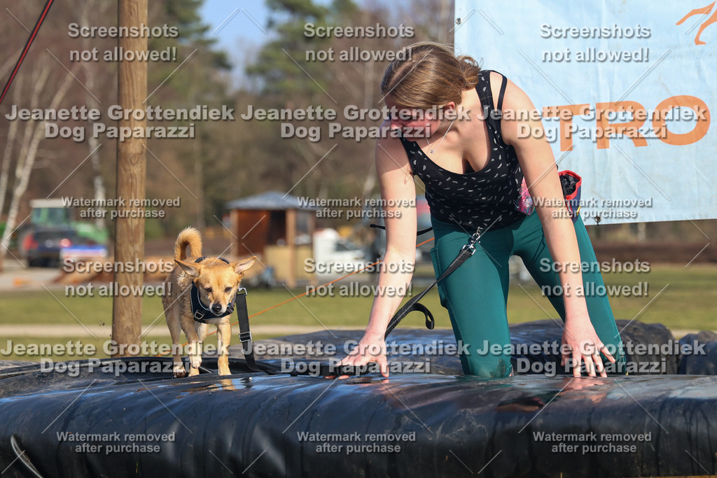 Dog Paparazzi - Strongdog North Mrz26-3463 | Dog Paparazzi Jeanette Grottendiek Fotografie & Videografie - Realisiert mit Pictrs.com
