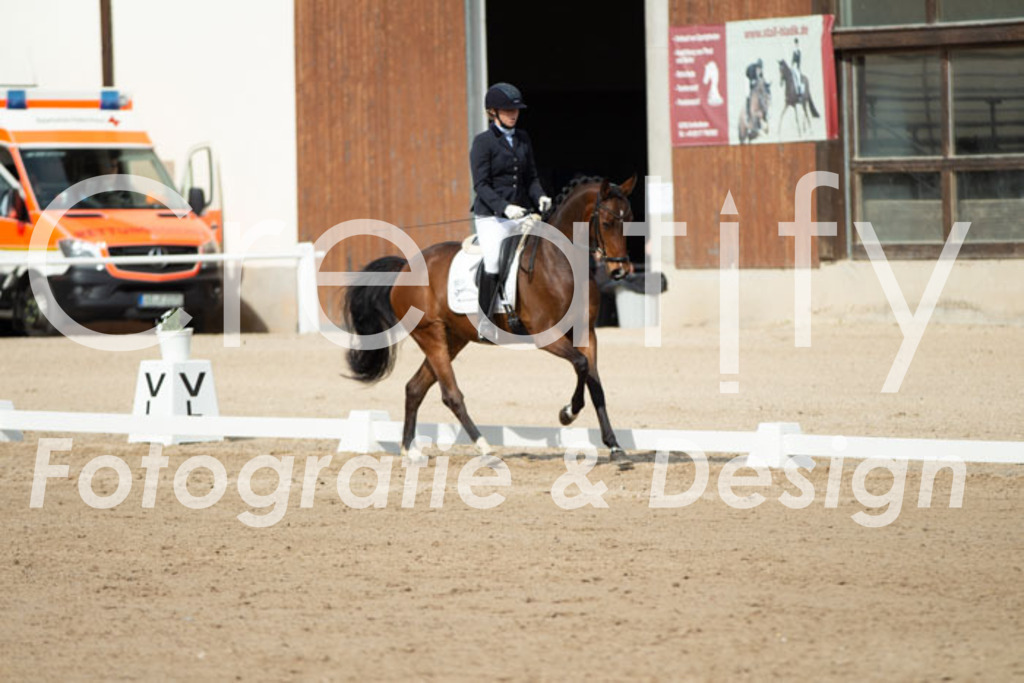 IMG_1239 | Creatify Fotografie