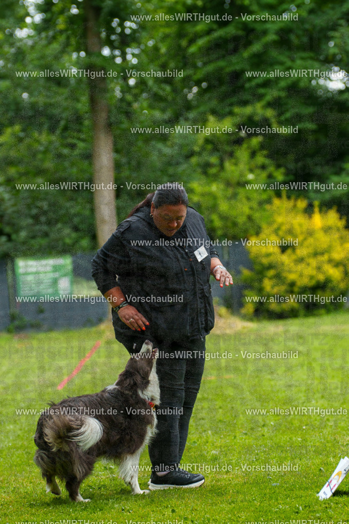 @allesWIRTHgut_Tierfotografie - www.allesWIRTHgut.de - 7R503529 | Professionelle Tierfotografie in Mönchengladbach von Daniel Wirth (allesWIRTHgut). Liebevolle & natürliche Bilder von Hunden & Katzen für unvergessliche Erinnerungen.