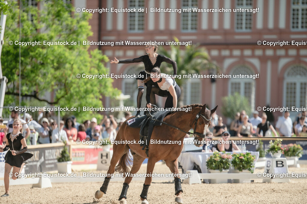 20230528_Voltigieren_NASPA_0541 | equistock