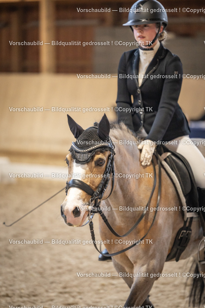 _D5A9124 | Emotionale Pferde- & People-Fotografie rund um Heidelberg, Leimen & Umgebung. Natürliche Fotos von Pferd, Mensch & Familie. Jetzt Termin sichern!