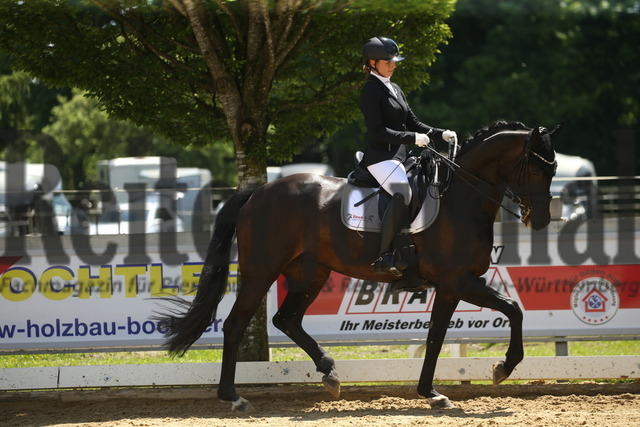 Aulendorf_2022_Dressur_Kl.M_Lia Weil_Moosbend_s Fauntleroy (13) | Alle Fotos der Reiterjournal Fotografin Doris Matthaes im Reiterjournal Online-Fotoshop. - Realizado com Pictrs.com