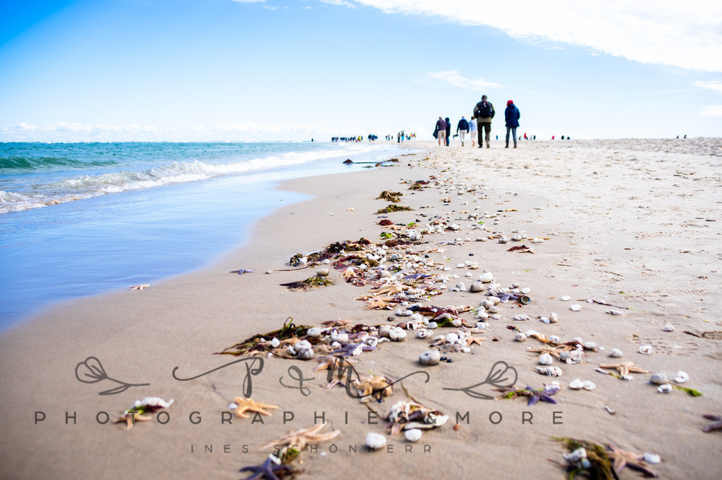 _Grenen22-1689 | Photographies and more - Realisiert mit Pictrs.com