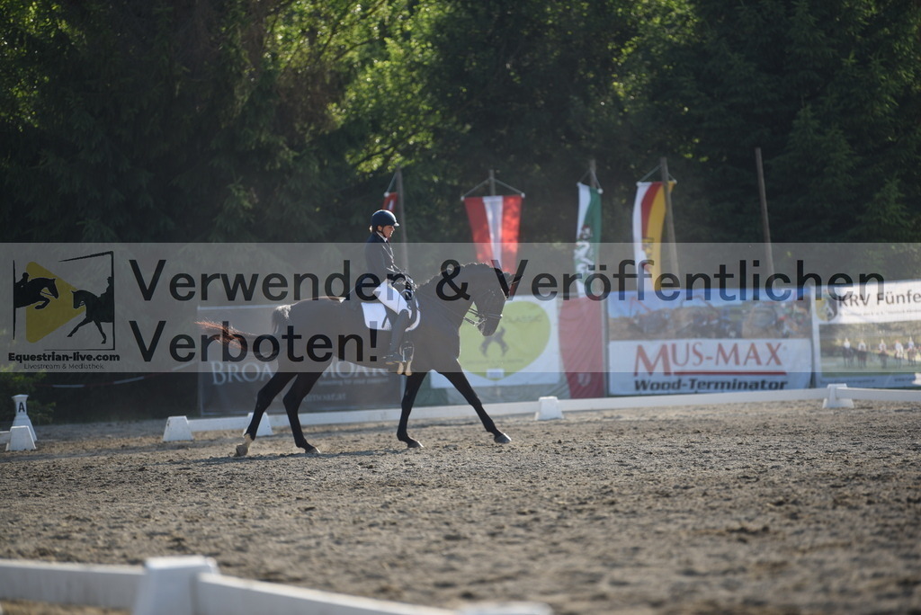 DSC_3311 | equestrian-live-com