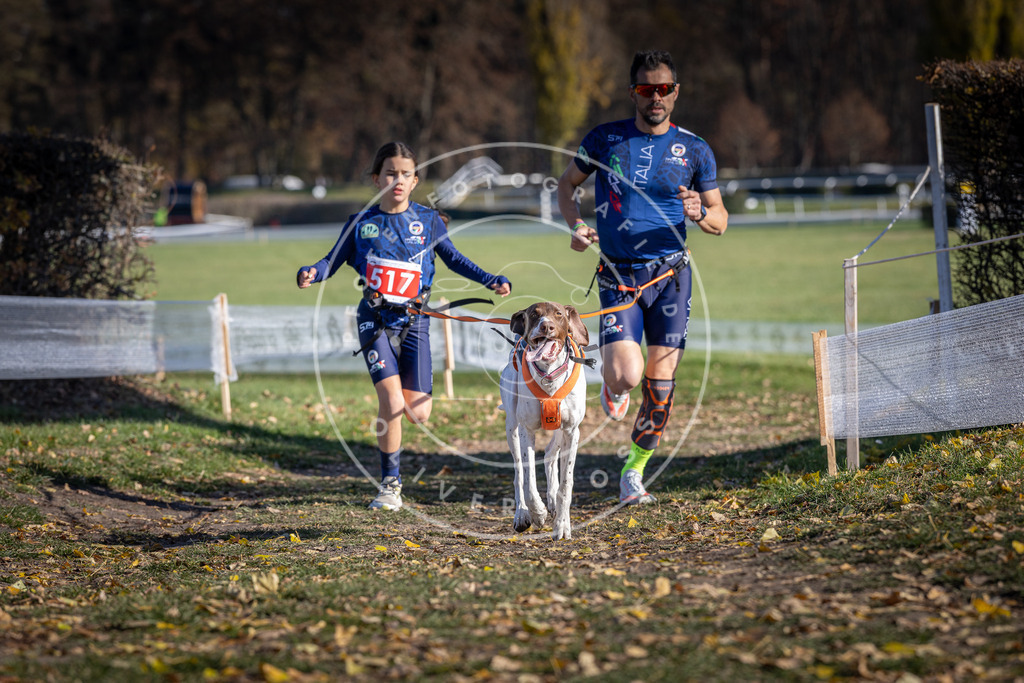 CaniXpix_DV3A8041 | Hundefotografie, Tierfotograf, Pfotenfotografie, Fotoshooting Hund, Hunde Portrait, Hundesport, Hundeportraits, Heideshooting, Hunde, Sportfotograf, Hundefotograf, Turnierhundsport, THS,  - Realisiert mit Pictrs.com