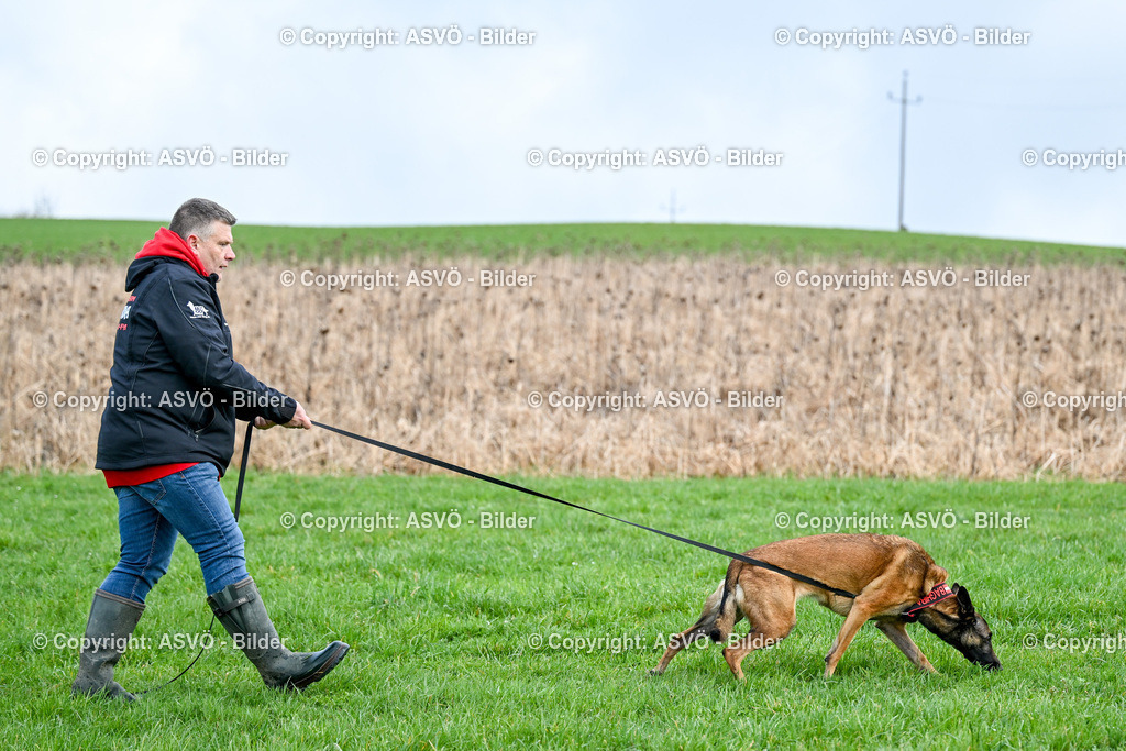 ASVÖ_ Tracking Dog World Championship 2025_ 31.03.2025-53 | 31.03.2025, AUT, ASVÖ, Tracking Dog World Championship // FCI IGP Fährtenhundeweltmeisterschaft 2025©fodo.media / Harald Dostal - Realisiert mit Pictrs.com