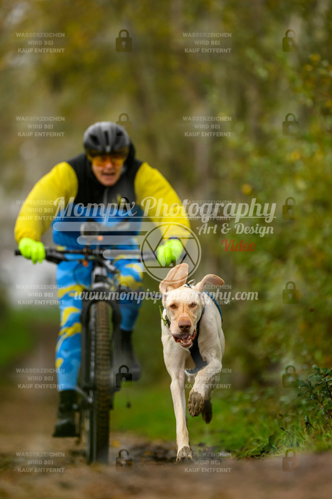 MompixPhotography_20TSB_E6_Bike-121 | PayLife