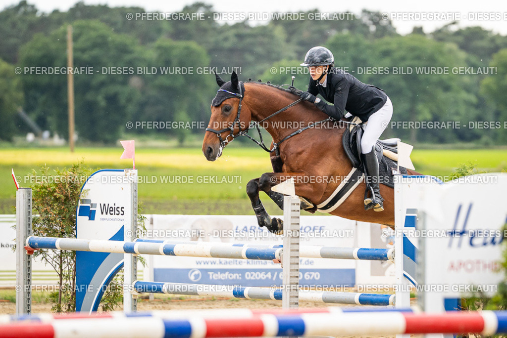 DSC06212 | Pferdegrafie