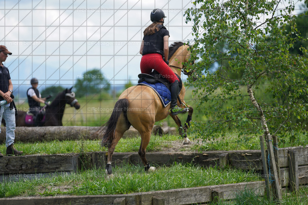 20240622-FAH07365 | Turnierfotografen Bayern, Reitsportbilder aus dem Geländekurs mit Felix Etzel auf dem Gut Waitzacker 2024
