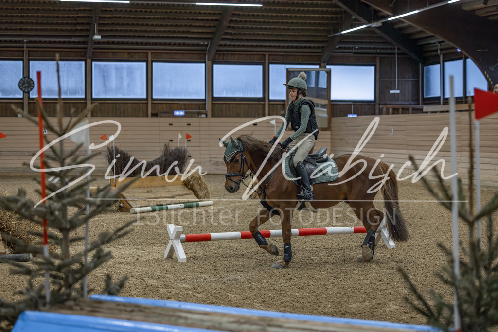 20260222-_3LI0646 | Tierfotografie Pferde, Hunde, Katzen, Haustiere.
Turnierfotografie Reitturniere, Reiten, Springreiten, Dressur in Hanau, dem Main-Kinzig-Kreis und dem Rhein-Main- Gebiet um Frankfurt