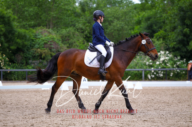 DKP46258 | Turnierfotos kaufen im Webshop von Daniel Kuhl Photography – entdecke professionelle Reitsportfotos aus Turnieren & Events. Hochwertige Turnierbilder online bestellen & sichern. Jetzt Fotos von Reitsportturnieren kaufen!
