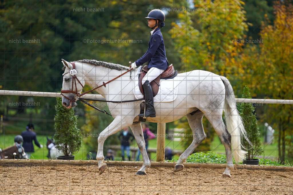 20221008-FAH01190 | Diessen am Ammersee, 2022, Dressur- und Springturnier, Reitsportbilder, Turnierfotografen Bayern, Pferdefotografen, Fotoagentur Herrmann, Turnierbilder