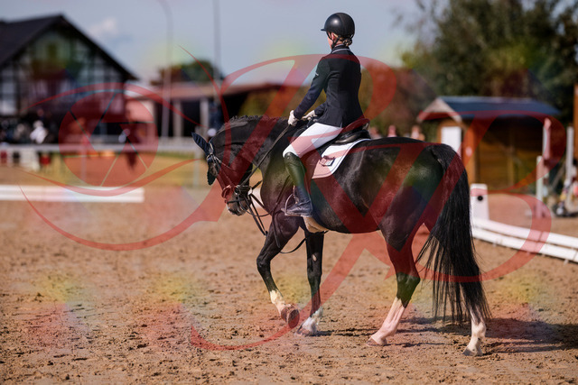 2026_10_03_Siefer-Hof_121654_Z81_20084149 | Professionelle Reitsport-, Turnier- und Eventfotografie von Robert Broda. Galerien mit ausgewählten und bearbeiteten Bildern direkt online ansehen und bestellen.