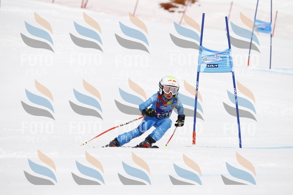 _U3G6167 | holidayphoto