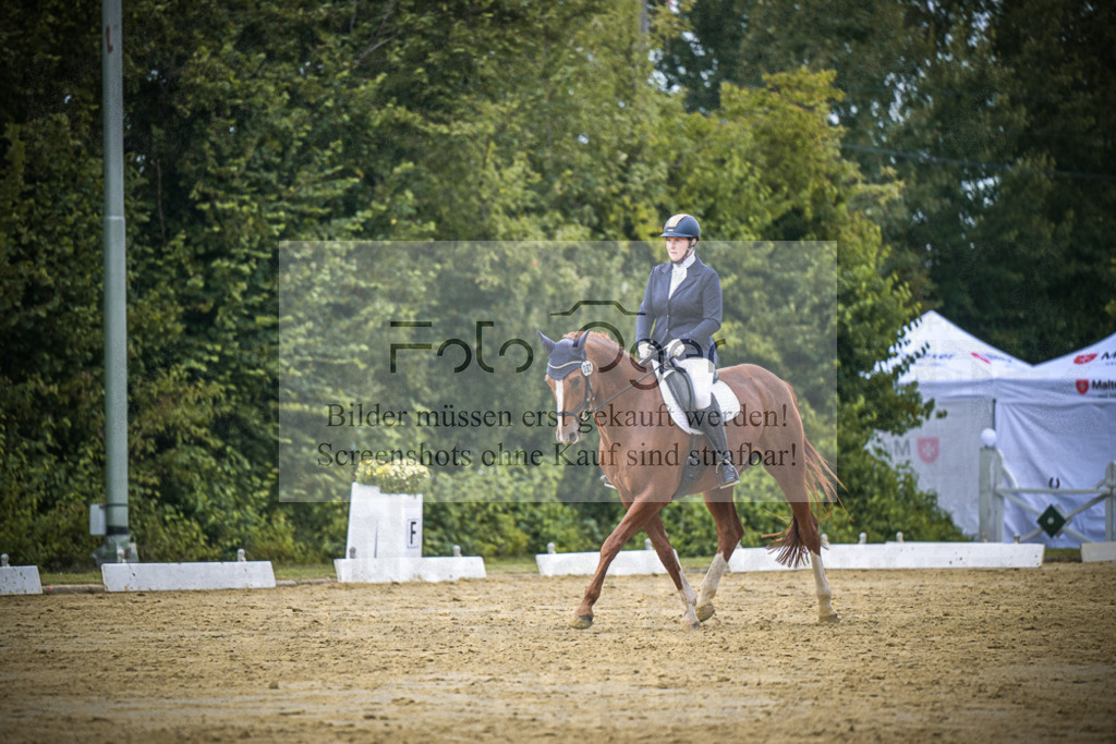 DOS_9748 | Entdecke hochwertige Reitturnierfotos von Foto Oger. Professionell, emotional und authentisch – jetzt Lieblingsmomente im Shop bestellen.Deutschlandweite Turnierfotografie. - Realisiert mit Pictrs.com