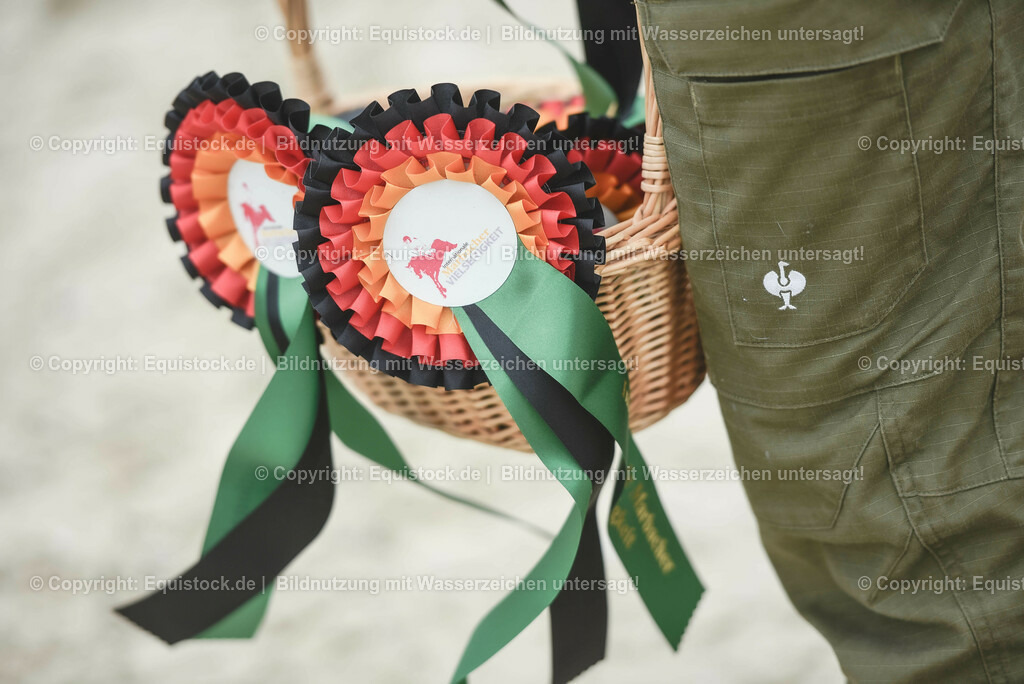 20230514_CCI2_Section1_Springen_0201 | equistock