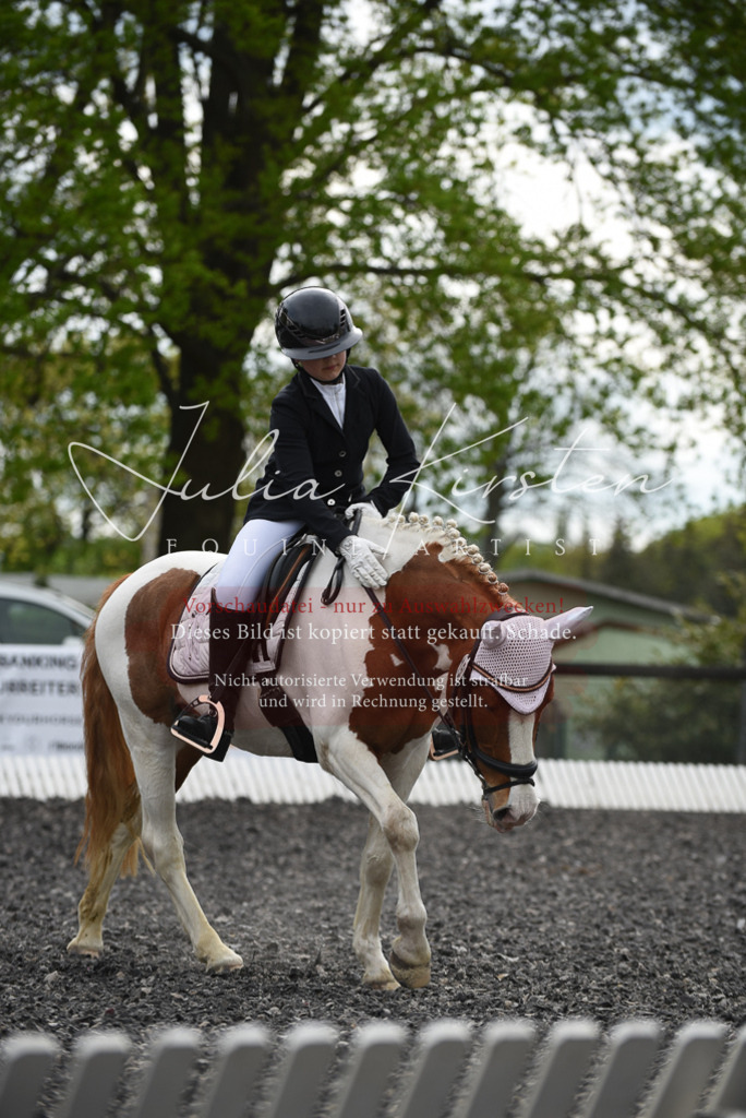 20230513_JK-Röhrsdorf-16-276 | Pferde- und Turnierfotografie in Westsachsen. Pferdeportraits, Auftragszeichnungen und intuitive Kunst.