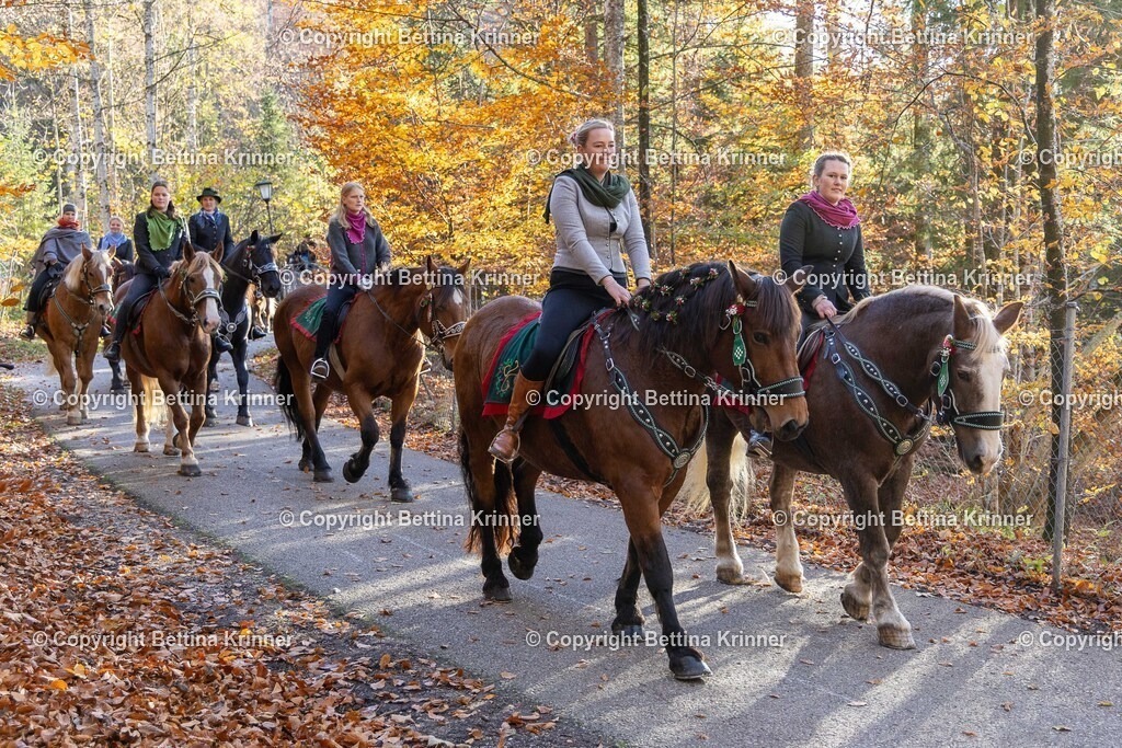 LL24-321 | foto-bettina-krinner - Realisiert mit Pictrs.com