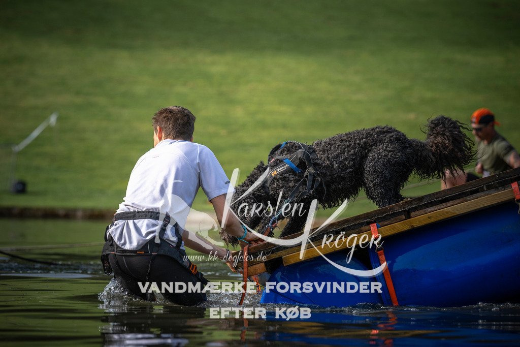 _ZZ933680704 | kk-dogfotos