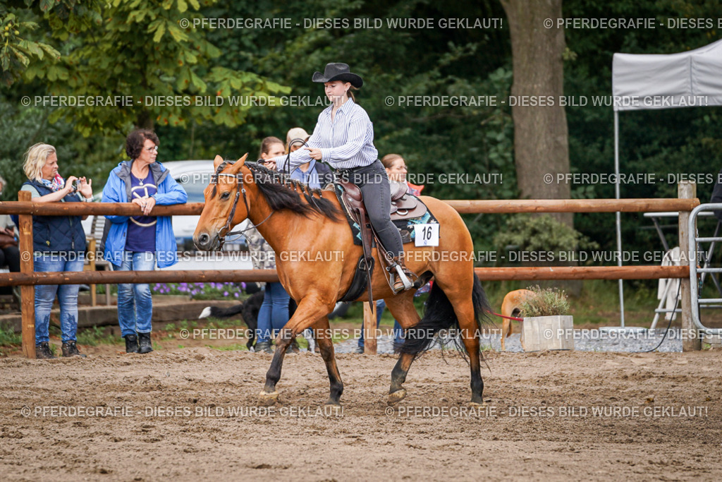 DSC08530 | Pferdegrafie