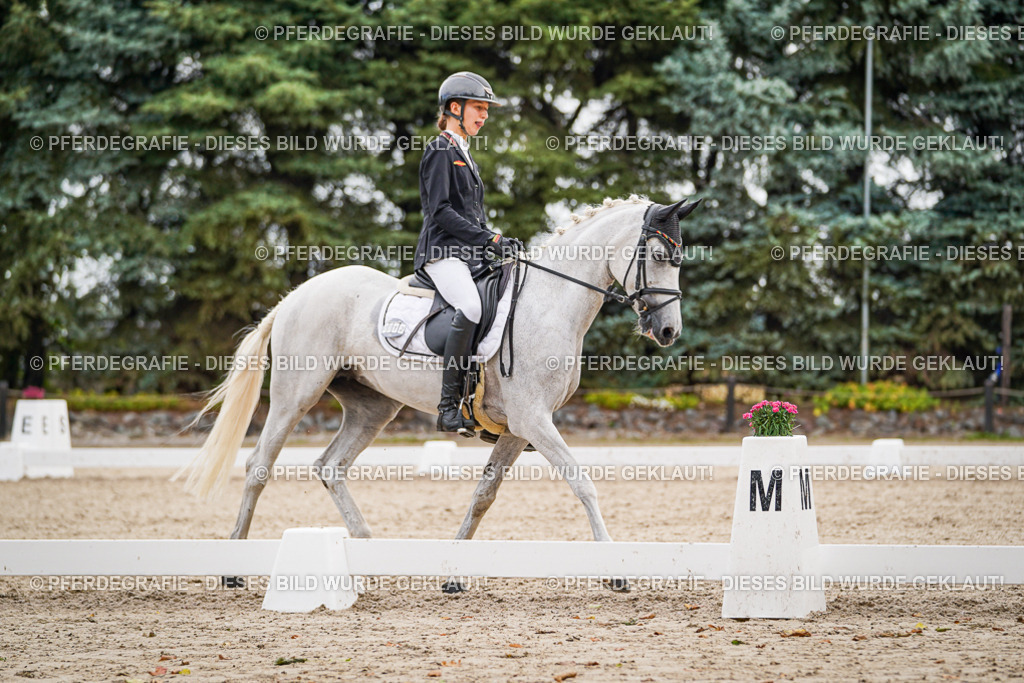 DSC02123 | Pferdegrafie