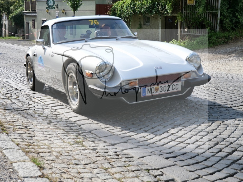 P1000174 | Gerhard Witt