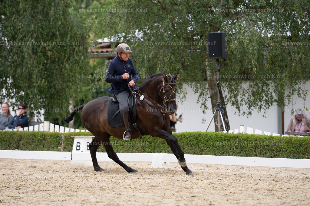 WS_DR_37_sinafilmart_IN01964 | working equitationturnier fotograf videograf stoibphotography marixx film working equitation deutschland reitsport turnierfotografie eventfotografie equestrian events