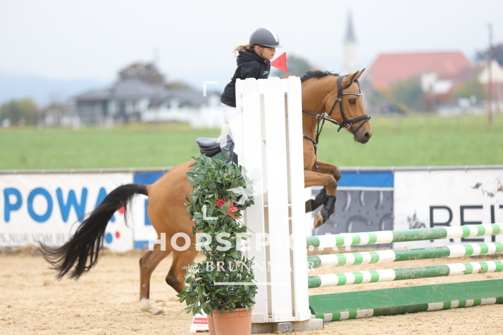 0P6A1412 | Willkommen bei Brunnmayr - Design & Fotografie – Ihrem Spezialisten für Reitturniere und Pferdeveranstaltungen in Oberösterreich, Salzburg und Bayern! Seit über 17 Jahren sind wir leidenschaftlich dabei.