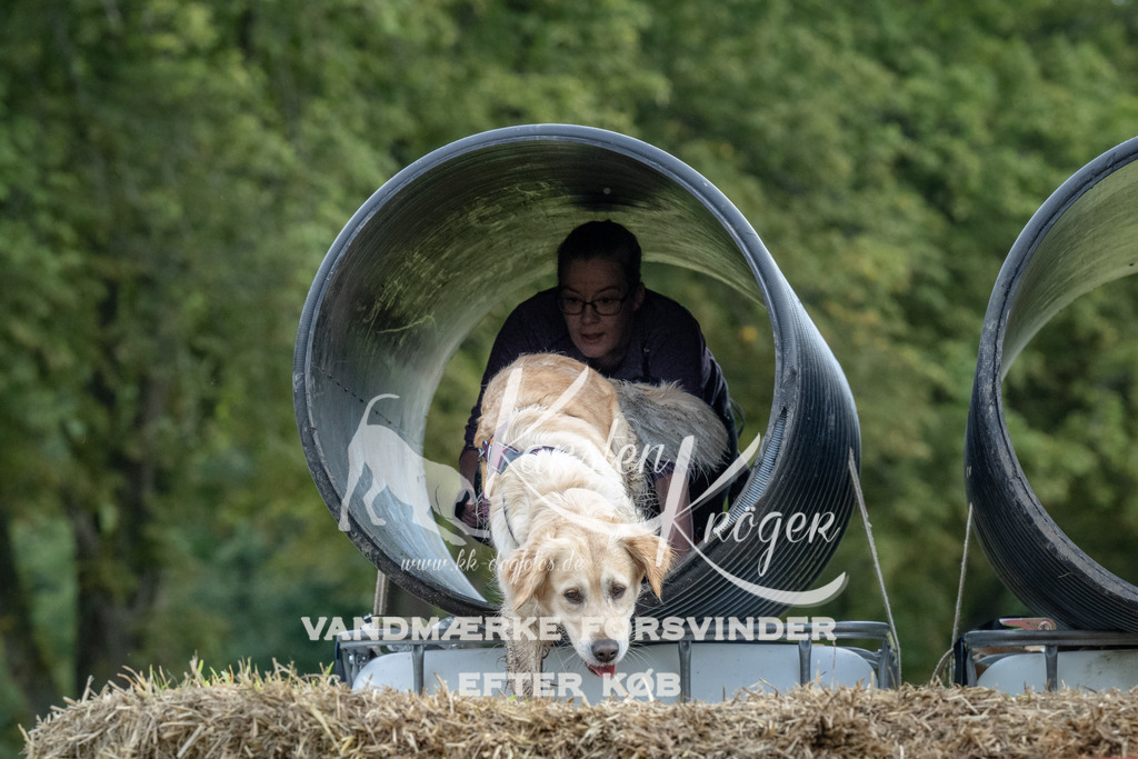 1035_ZZ92531 | kk-dogfotos