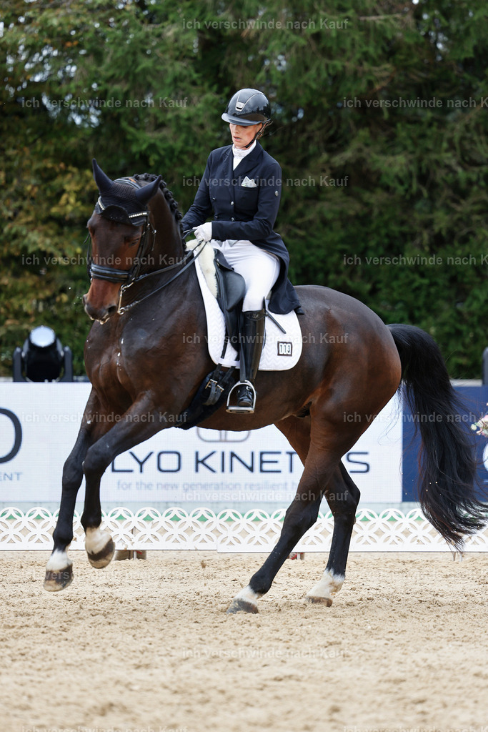 6-113-AMATUER-DRESSUR S_  -StoibPH-3617 | working equitationturnier fotograf videograf stoibphotography marixx film working equitation deutschland reitsport turnierfotografie eventfotografie equestrian events