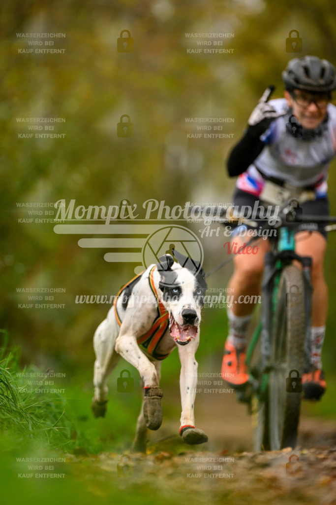 MompixPhotography_20TSB_E6_Bike-47 | PayLife