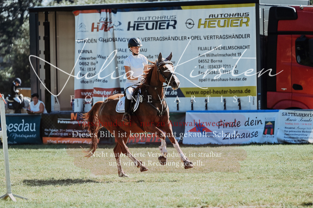 DSC_5607 | Pferde- und Turnierfotografie in Westsachsen. Pferdeportraits, Auftragszeichnungen und intuitive Kunst.