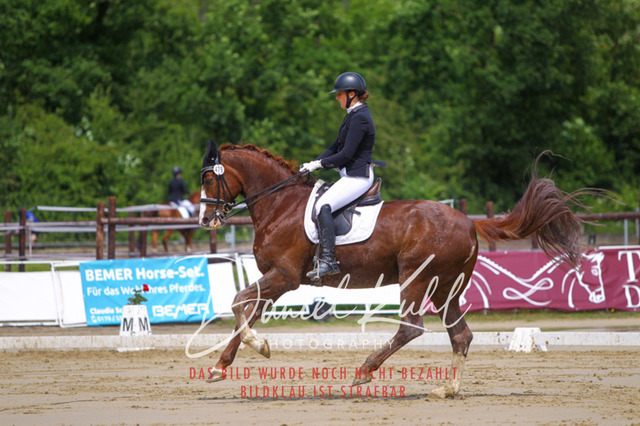 DKP40744 | Turniersportfotografie; Pferdefotografie; Dressurfotografie