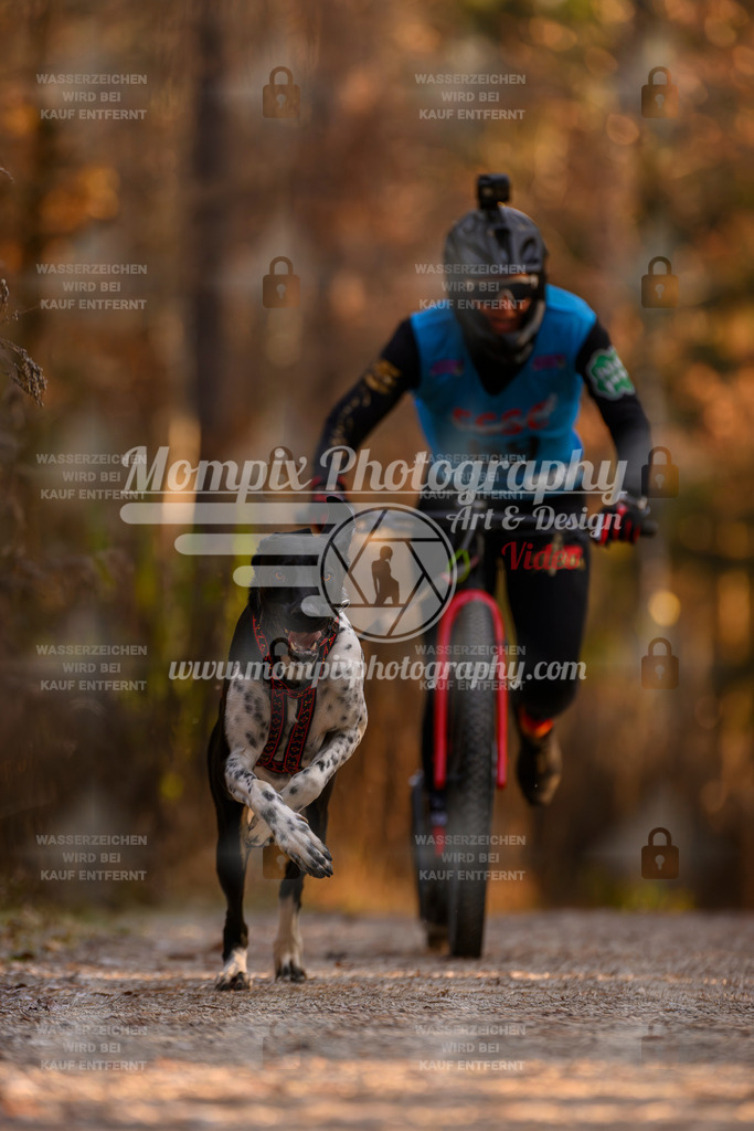 MompixPhotography_DM_AKDM_SO_2025_Scooter-93 | PayLife