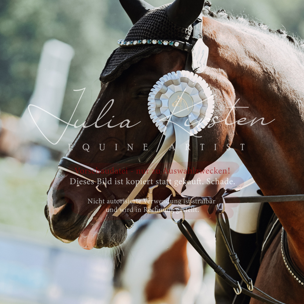 DSC_6258 | Pferde- und Turnierfotografie in Westsachsen. Pferdeportraits, Auftragszeichnungen und intuitive Kunst.