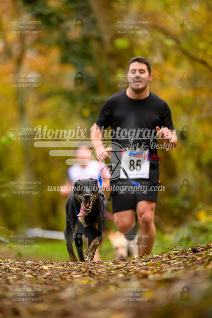MompixPhotography_Bischwiller24_SA_Canicross-124 | PayLife