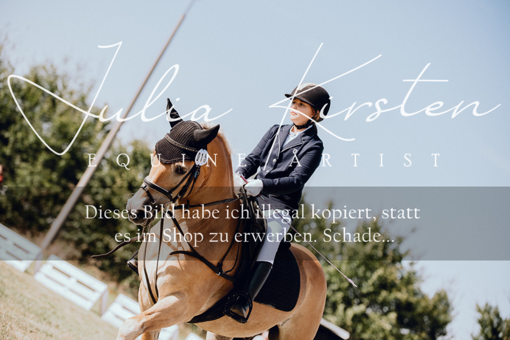 DSC_6912 | Pferde- und Turnierfotografie in Westsachsen. Pferdeportraits, Auftragszeichnungen und intuitive Kunst.