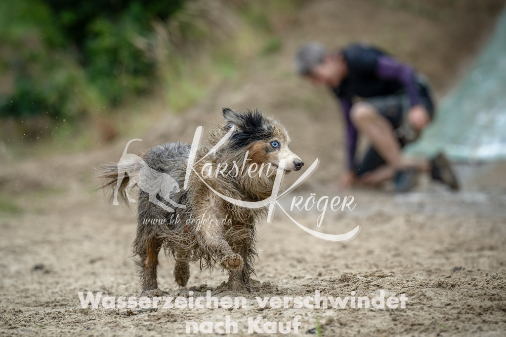 1257_ZZ91537-Bearbeitet | kk-dogfotos