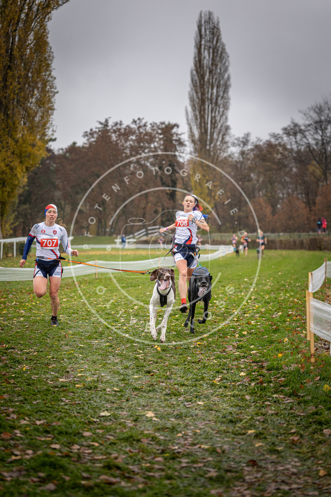 CaniXpix_DV3A9102 | Hundefotografie, Tierfotograf, Pfotenfotografie, Fotoshooting Hund, Hunde Portrait, Hundesport, Hundeportraits, Heideshooting, Hunde, Sportfotograf, Hundefotograf, Turnierhundsport, THS,  - Realisiert mit Pictrs.com