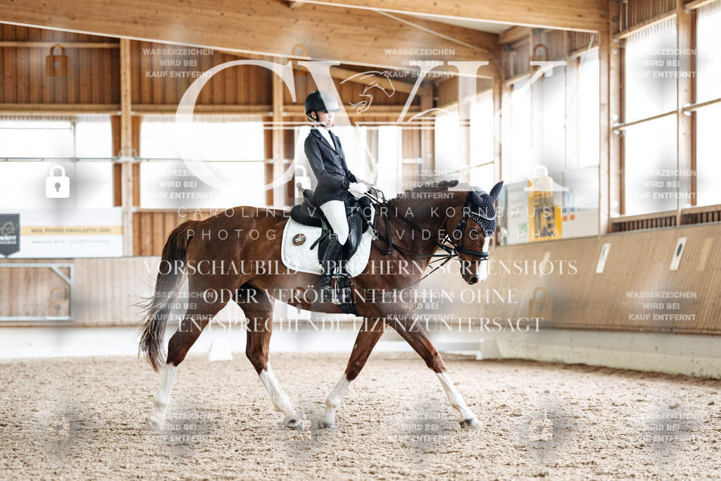 CK900920 | Turnierfotografie Pferdefotografie Trier Rheinland-Pfalz Pferdesport Reitsport Tierfotografie Sportfotografie Pferdevideo Pferdevideografie Equestrianvideography equestrianphotography  - Realisiert mit Pictrs.com