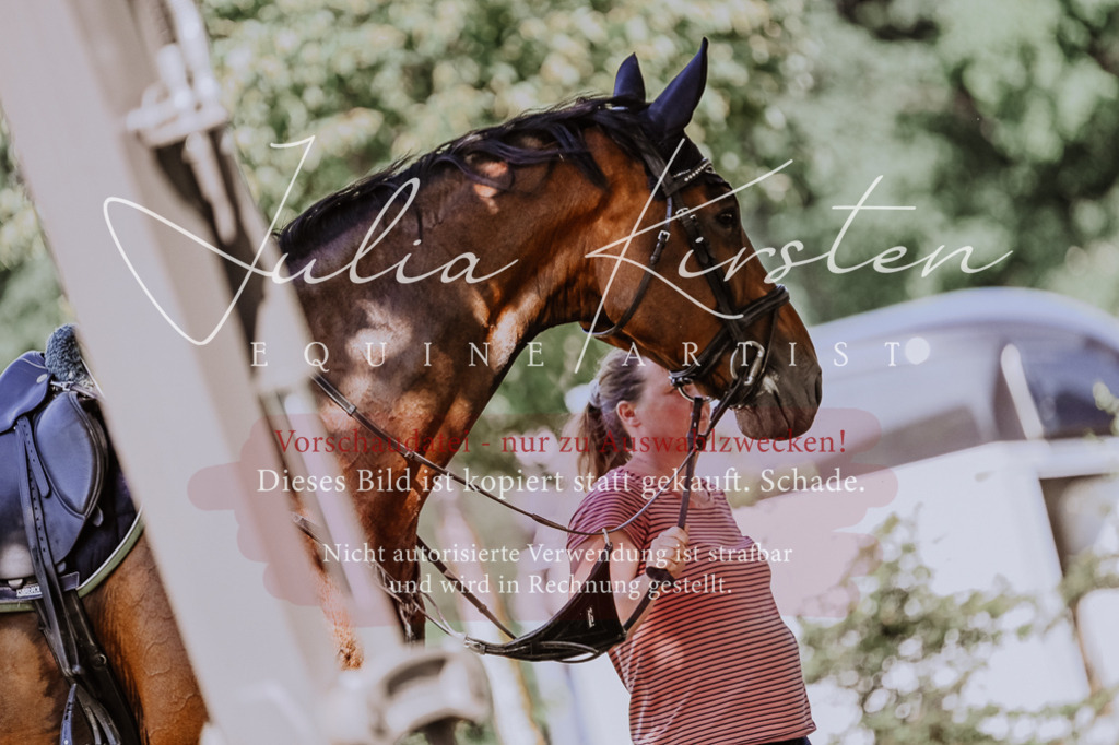 DSC_1818 | Pferde- und Turnierfotografie in Westsachsen. Pferdeportraits, Auftragszeichnungen und intuitive Kunst.