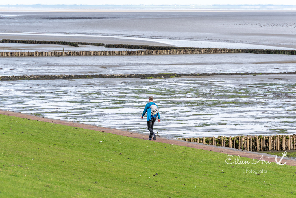 EAF_1152 | Eilun-Art-Fotografie Levke Martens, ihre Fotografin für Immobilien- und Landschaftsfotografie auf Föhr, Föhrer Motive als Poster, Leinwand, hinter Acrylglas oder stelle dir deinen eigenen Monatskalender zusammen, mit nur einem Klick