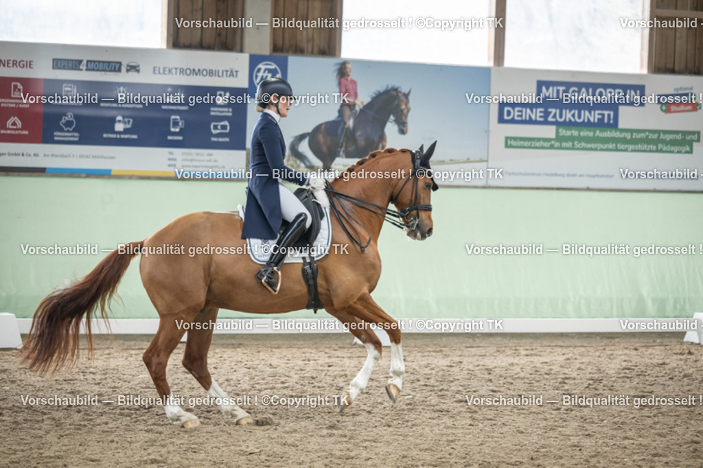 _D5A5293 | Emotionale Pferde- & People-Fotografie rund um Heidelberg, Leimen & Umgebung. Natürliche Fotos von Pferd, Mensch & Familie. Jetzt Termin sichern!