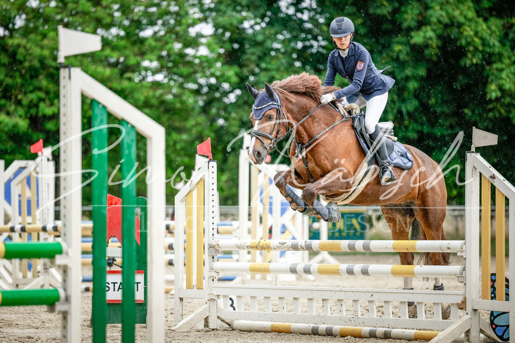 20250706-_3LI2584 | Tierfotografie Pferde, Hunde, Katzen, Haustiere.
Turnierfotografie Reitturniere, Reiten, Springreiten, Dressur in Hanau, dem Main-Kinzig-Kreis und dem Rhein-Main- Gebiet um Frankfurt