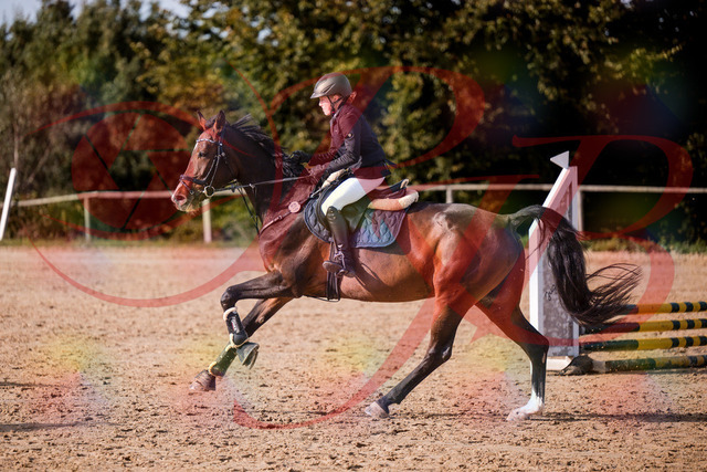 2026_10_03_Siefer-Hof_155937_Z81_79662032 | Professionelle Reitsport-, Turnier- und Eventfotografie von Robert Broda. Galerien mit ausgewählten und bearbeiteten Bildern direkt online ansehen und bestellen.