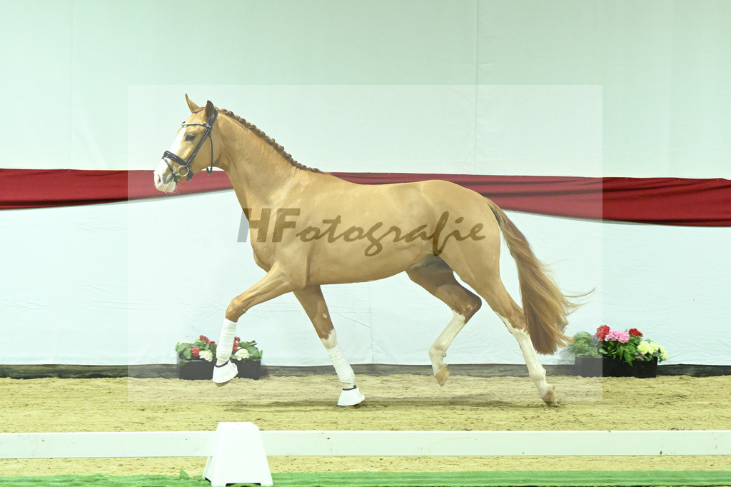 Kat-Nr. 10 v. Fuerst Samarant_Beckmann_63220026 | hf-fotografie - Realizzato con Pictrs.com
