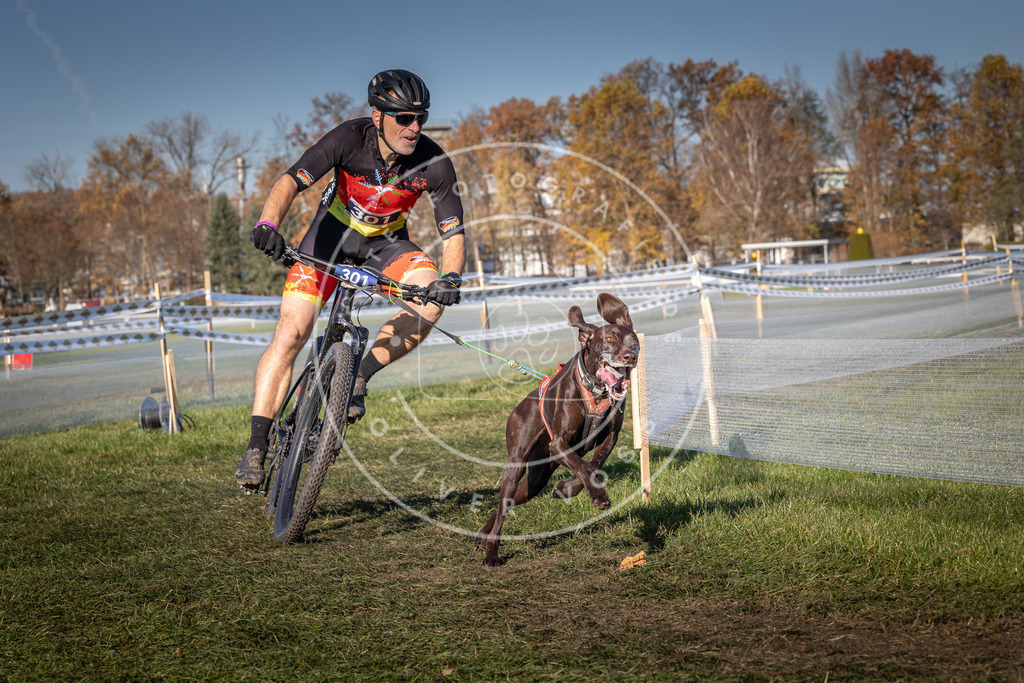 CaniXpix_0L8A5454 | Hundefotografie, Tierfotograf, Pfotenfotografie, Fotoshooting Hund, Hunde Portrait, Hundesport, Hundeportraits, Heideshooting, Hunde, Sportfotograf, Hundefotograf, Turnierhundsport, THS,  - Realisiert mit Pictrs.com