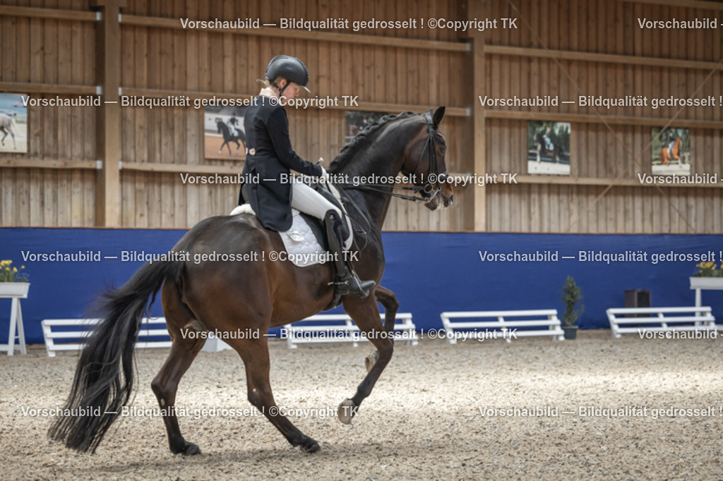 _D5A0502 | Emotionale Pferde- & People-Fotografie rund um Heidelberg, Leimen & Umgebung. Natürliche Fotos von Pferd, Mensch & Familie. Jetzt Termin sichern!