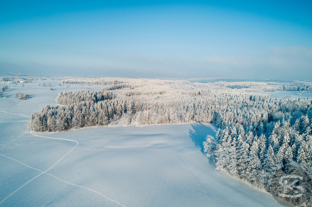Wunderschöne Allgäu-Winterlandschaft aus der Luft – Hügel, Wälder und Alpenpanorama | Wunderschöne Allgäu-Winterlandschaft aus der Luft mit sanften Hügeln, verschneiten Wäldern und beeindruckendem Alpenpanorama – ruhige, klare Winteridylle in einzigartiger Vogelperspektive. - Realisiert mit Pictrs.com