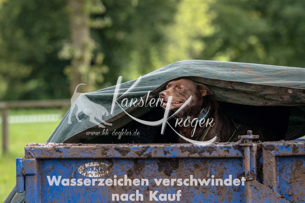 1149_ZZ91758 | kk-dogfotos